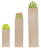 Dollhouse Miniature Resin Tall Square Succulents Set/3Pc
