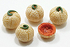Dollhouse Miniature Cantaloupe, 5Pc