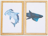 Shark Picture Set A, 2 Pieces