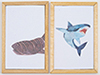 Shark Picture Set B, 2 Pieces