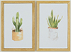 Plant Picture Set, 2 Piece