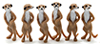 MeerKat, 6pc