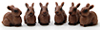 Rabbit, 6pc