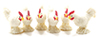 White Rooster, 6pc