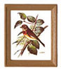 Dollhouse Miniature Framed Bird Pictures 4 Pcs