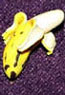 Dollhouse Miniature Peeled Banana