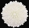 Dollhouse Miniature Ceiling Carving