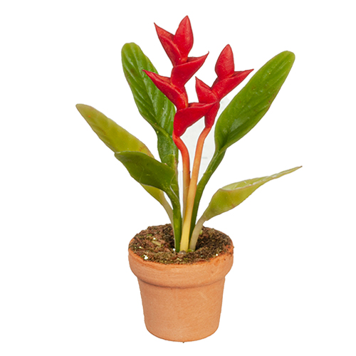 Crimson Bird Of Paradise Crimson Bird Of Paradise