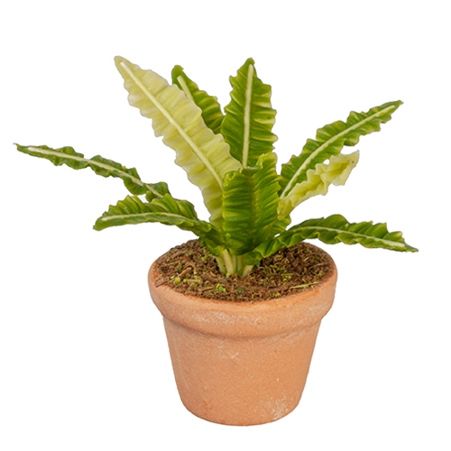 Potted Plant Potted Plant