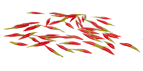 Red Chilies/50 Red Chilies/50