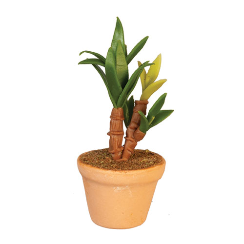 Potted Plant Potted Plant