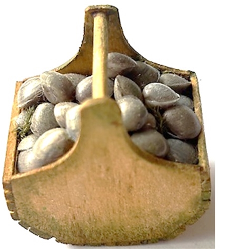Clam Basket