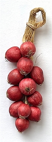 Gail Wise Red Onions