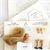 Porcelain Doll Kit
