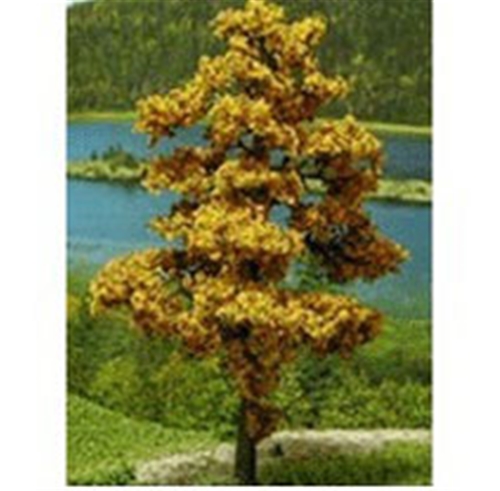Dollhouse Miniature Tree-Premade 2 In, Autumn, 6Pc