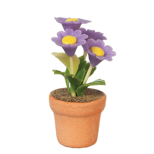 Miniflowerpot/Purpleday