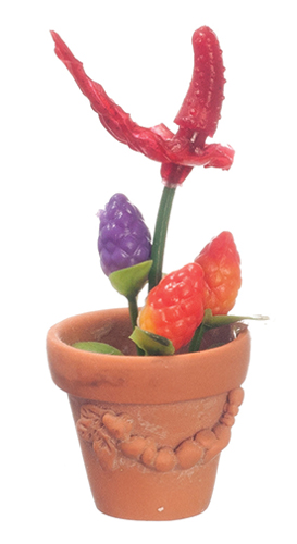 Flowers in Pot