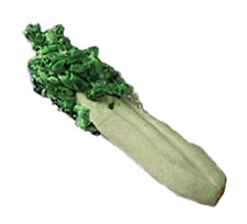 Dollhouse Miniature Celery Bunch