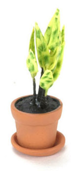 Dollhouse Miniature House Plant