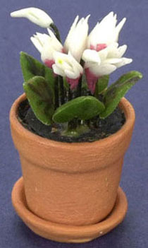 Dollhouse Miniature Cyclamen In Pot, White