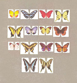 Dollhouse Miniature Butterfly Kit