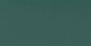 Dollhouse Miniature 8 oz. Paint Evergreen