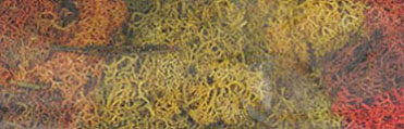 Dollhouse Miniature Lichen-Autumn Mix-1 1/2Qts
